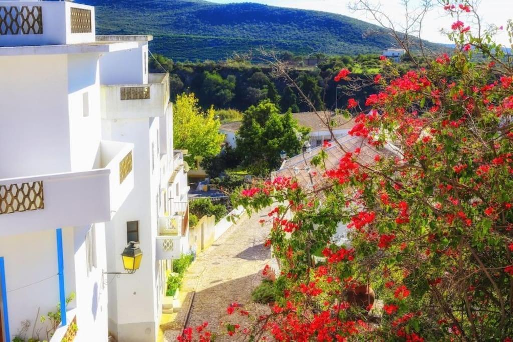 Casa Cecilia Apartment Algarve آلتيه المظهر الخارجي الصورة